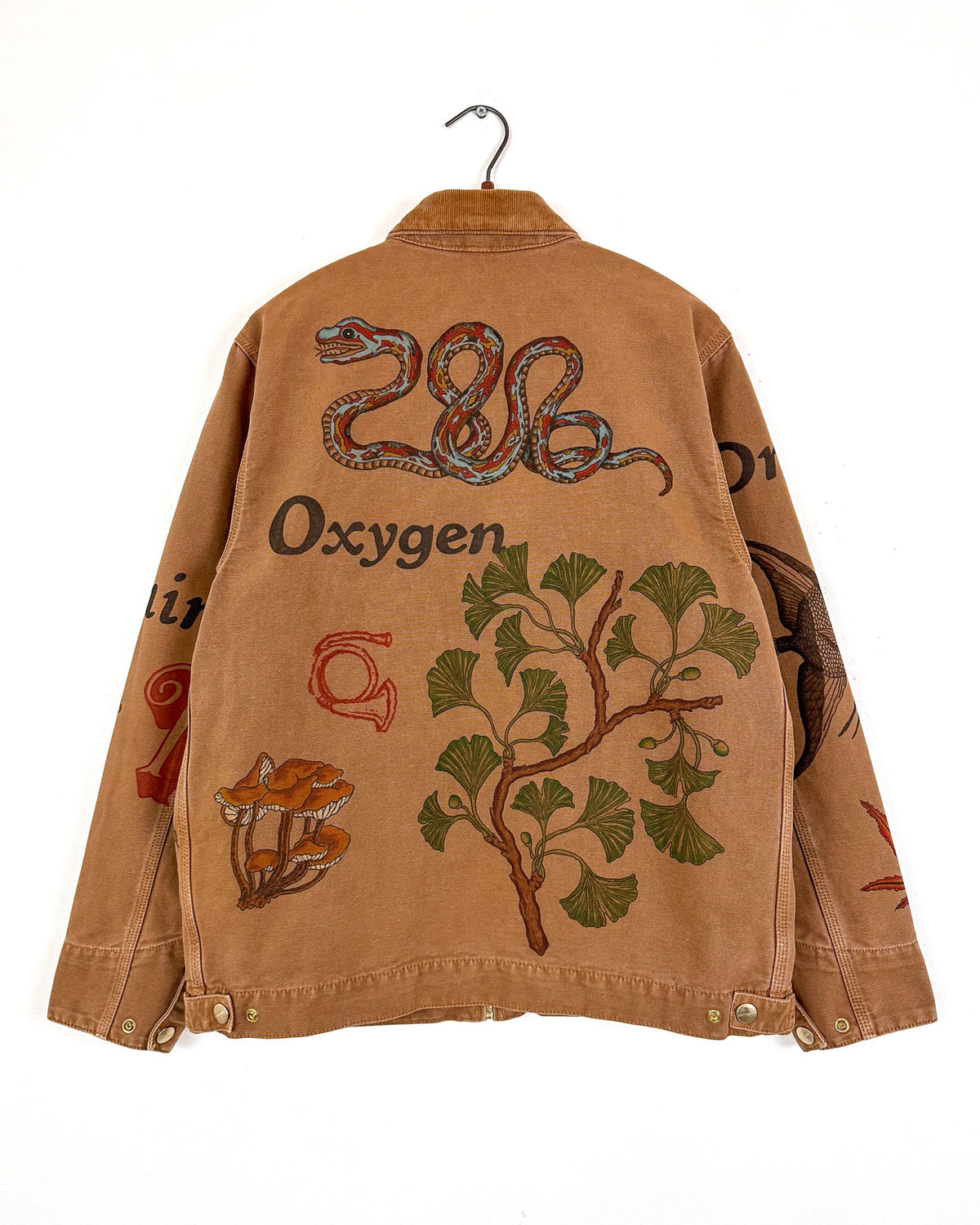Toucan Ocean Jacket - Mykes Lab