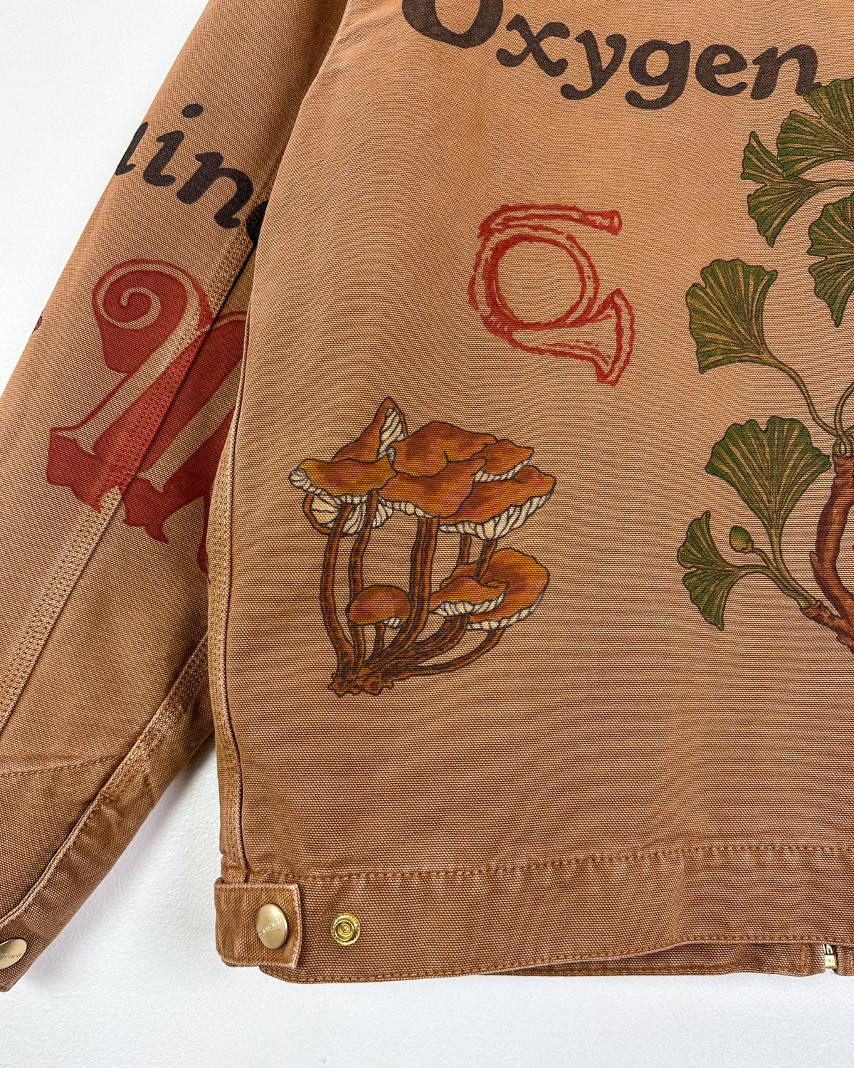 Toucan Ocean Jacket - Mykes Lab